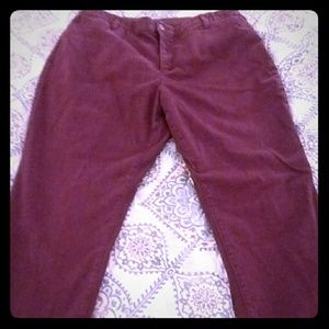 CJ Banks Signature Slimming Burgundy Colored Denim